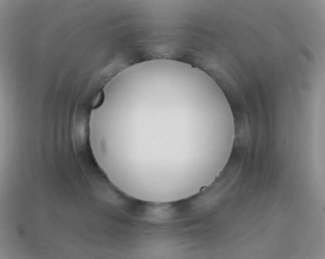 X0000114020334200910161802