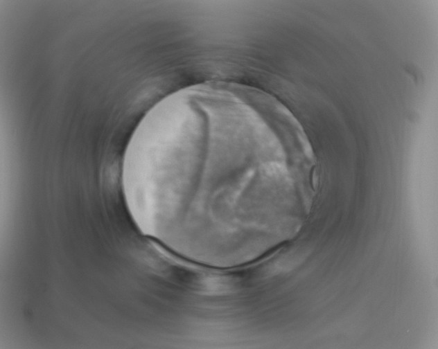 X0000114020336200910161802