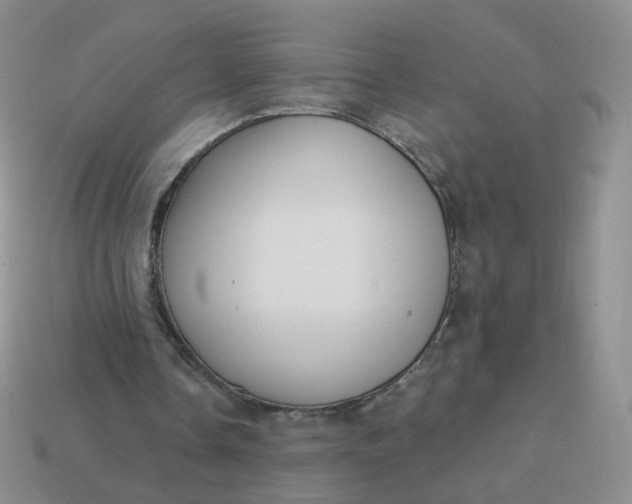 X0000114020338200910161801