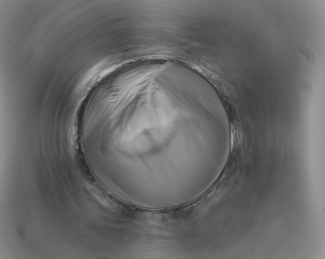 X0000114020339200910161801