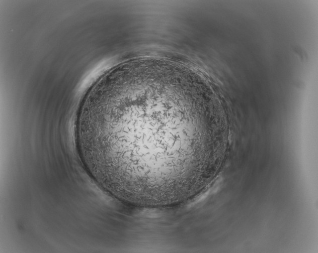 X0000114020341200910161801