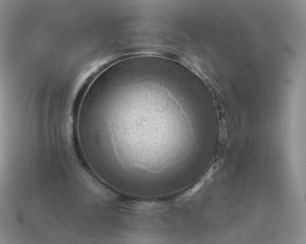 X0000114020342200910161802