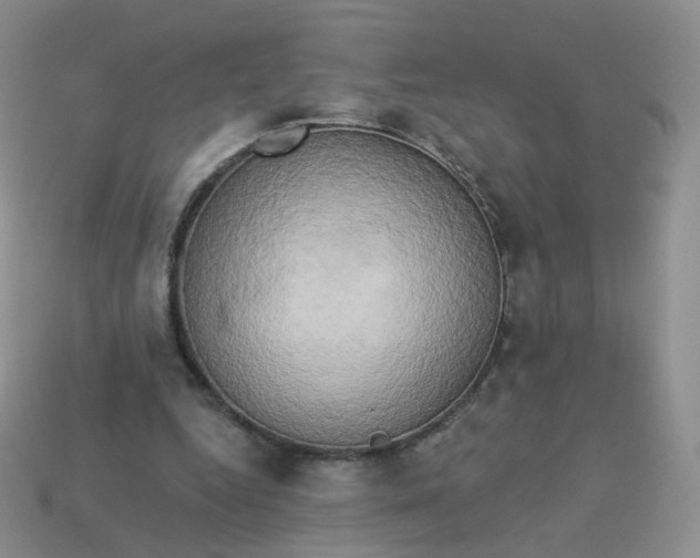 X0000114020344200910161802