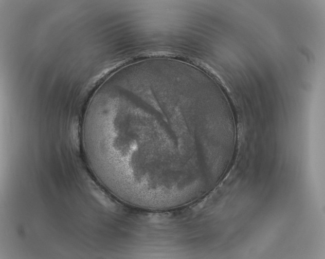 X0000114020345200910161802