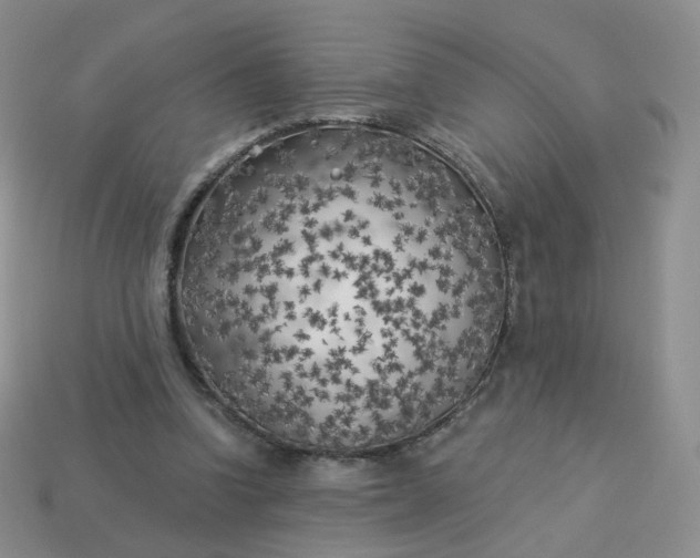 X0000114020346200910161802