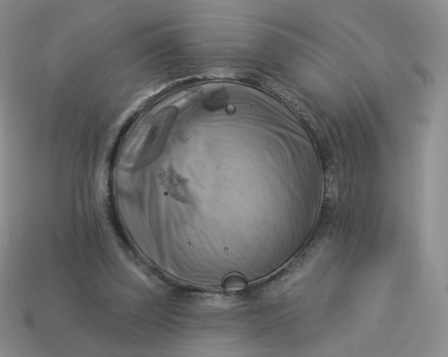 X0000114020347200910161802