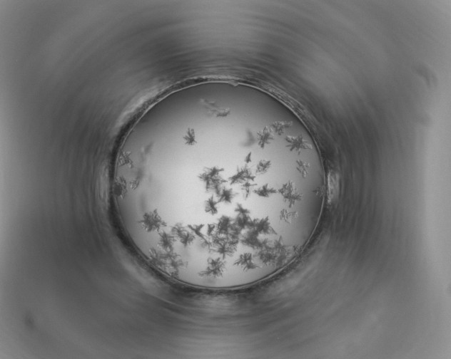 X0000114020349200910161802