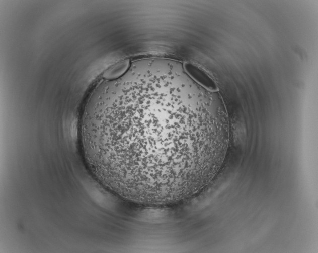 X0000114020350200910161802