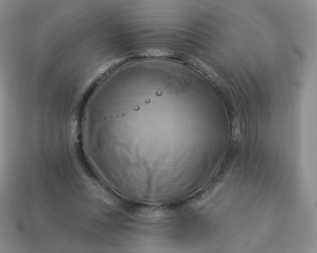 X0000114020351200910161802