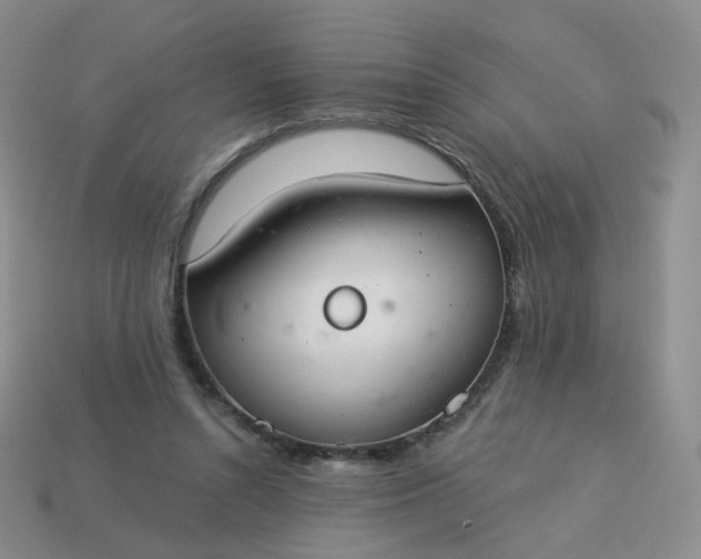 X0000114020352200910161802