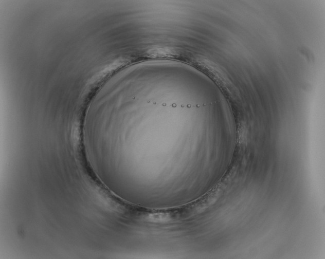 X0000114020353200910161802