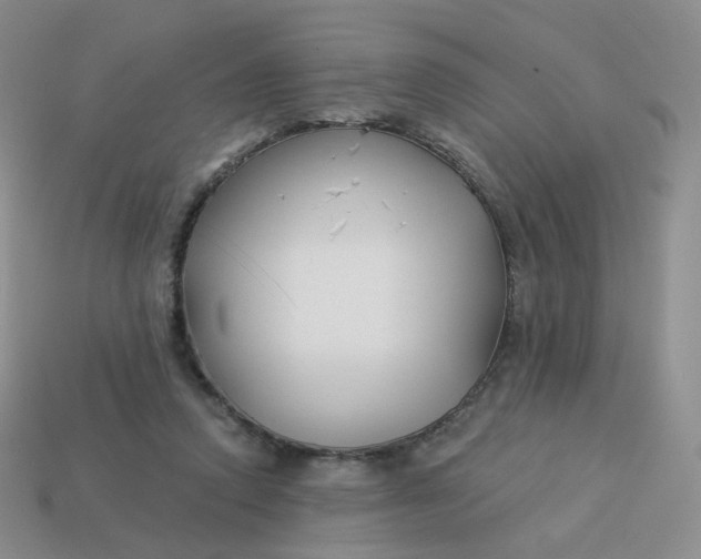 X0000114020354200910161802