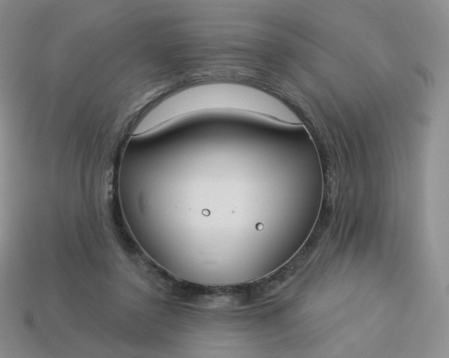 X0000114020356200910161802