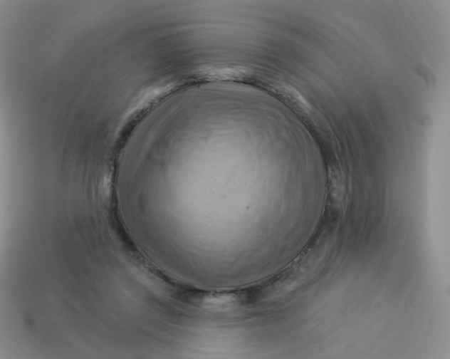 X0000114020357200910161802