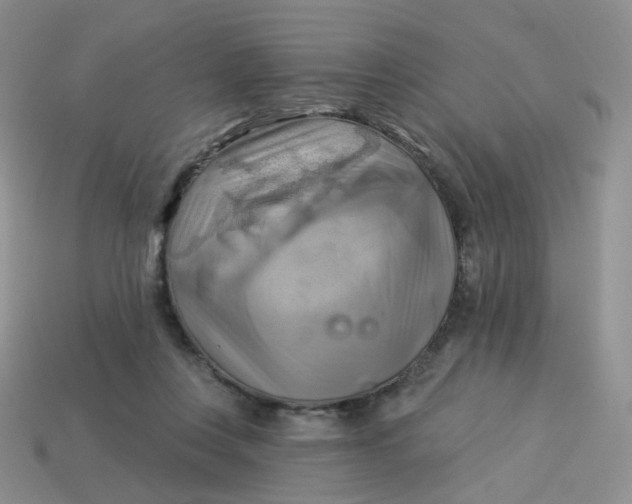 X0000114020359200910161802