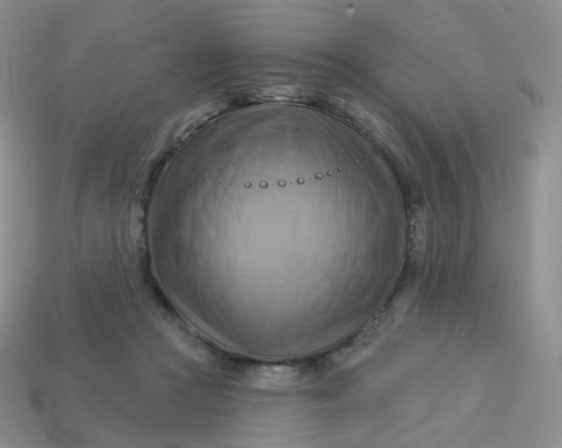 X0000114020361200910161802