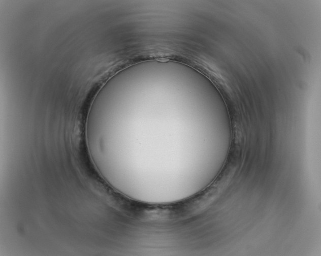 X0000114020362200910161802