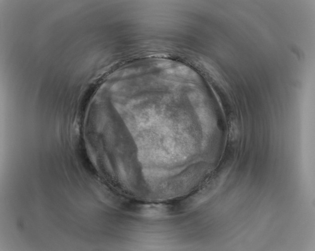 X0000114020363200910161802