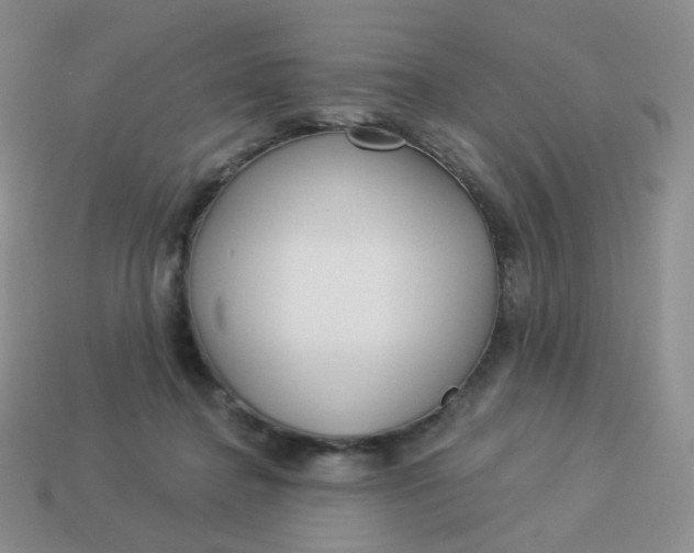 X0000114020364200910161802