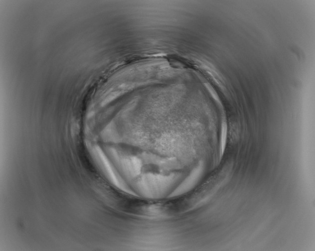 X0000114020365200910161802