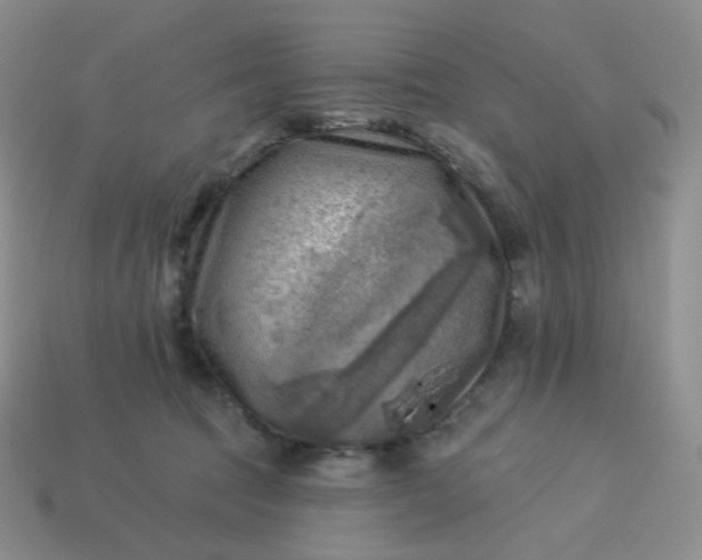 X0000114020369200910161802