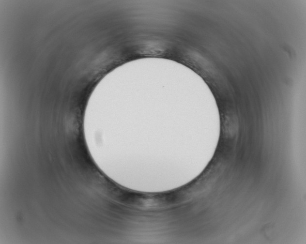 X0000114020370200910161802