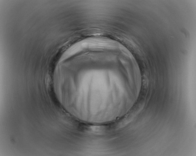 X0000114020371200910161802