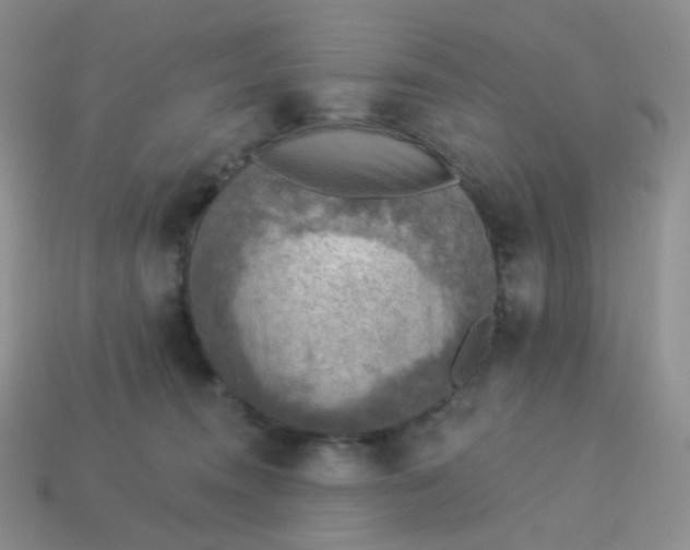 X0000114020372200910161802