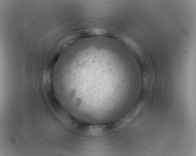 X0000114020373200910161802