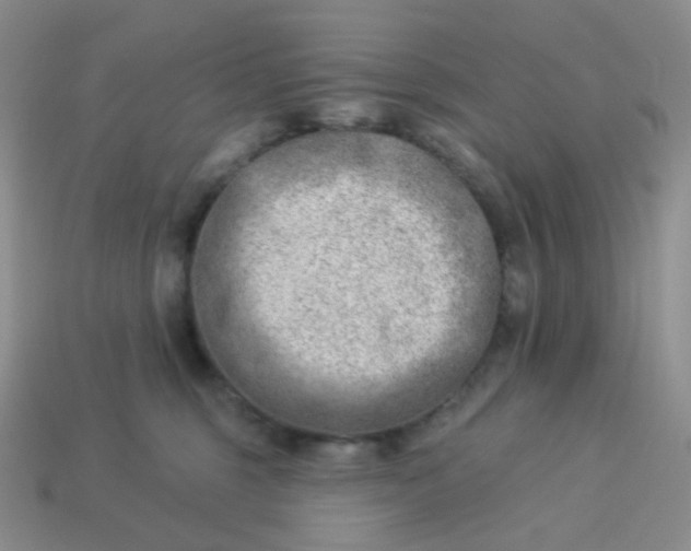 X0000114020375200910161802