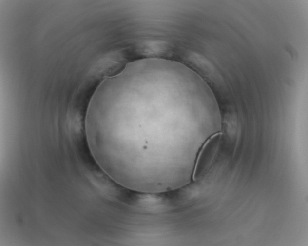 X0000114020380200910161802