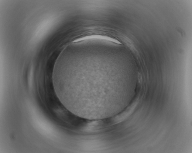 X0000114020382200910161802