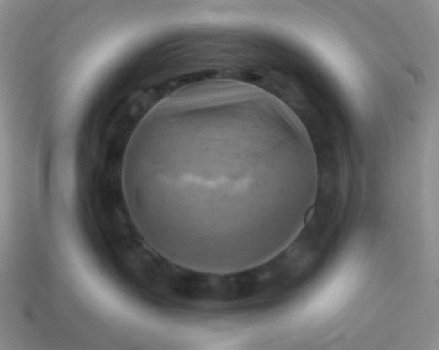 X0000114020383200910161802