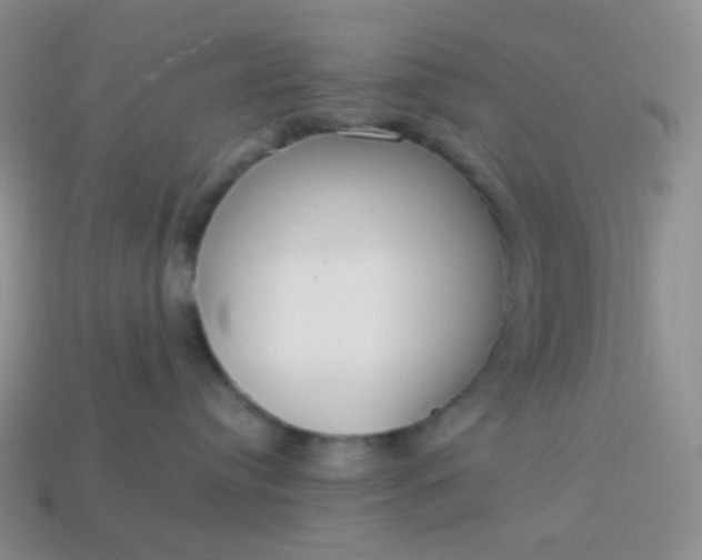 X0000114020384200910161802