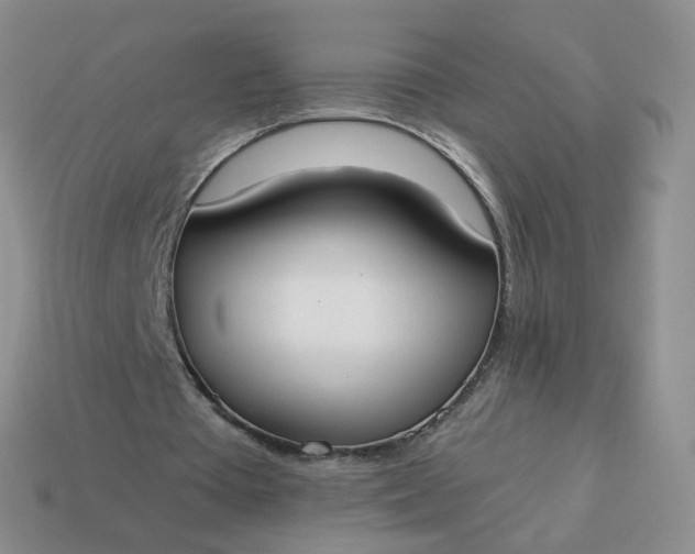 X0000114020385200910161801