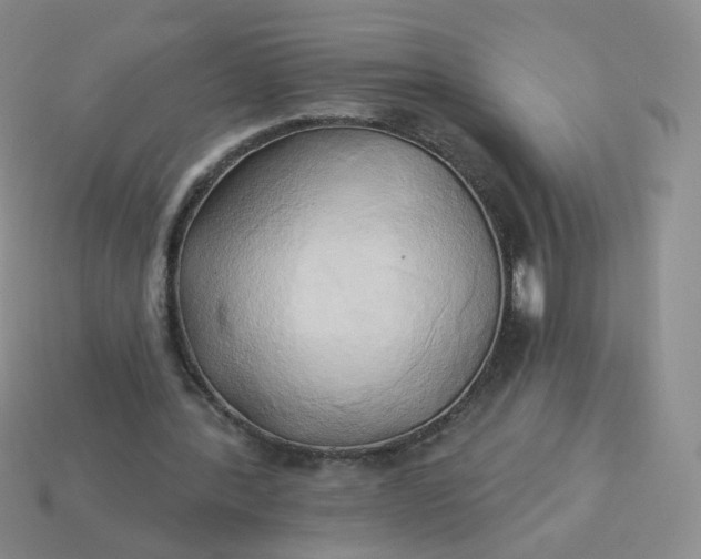 X0000114020388200910161801