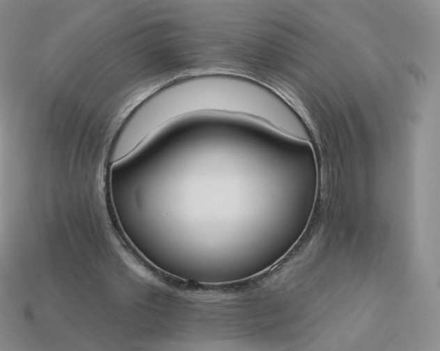 X0000114020389200910161801