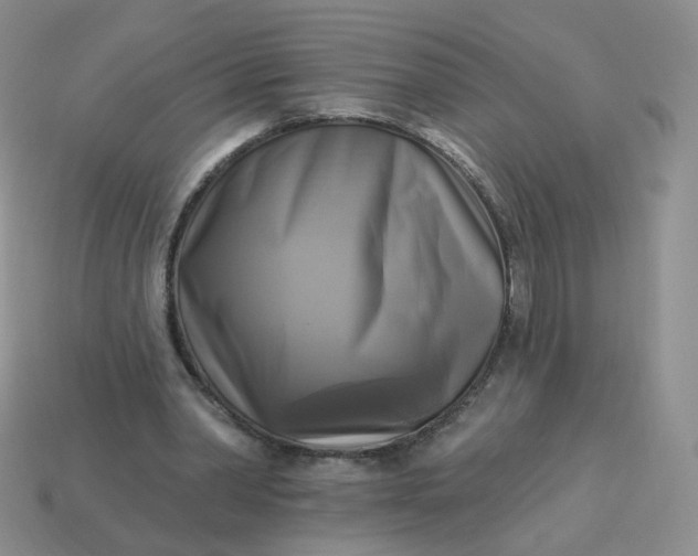 X0000114020390200910161801