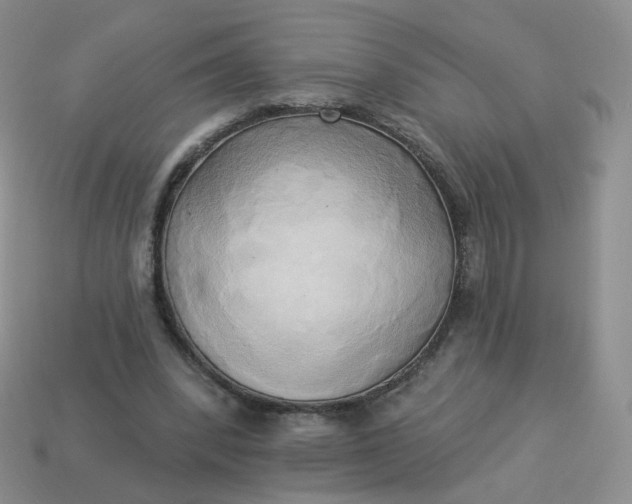 X0000114020392200910161801