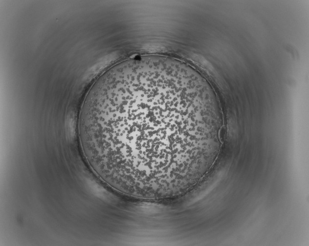 X0000114020393200910161801