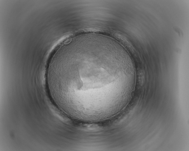 X0000114020395200910161801