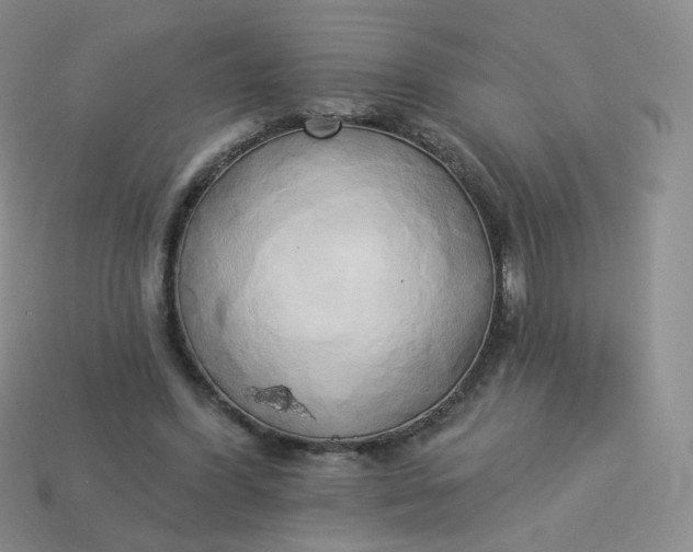 X0000114020396200910161801