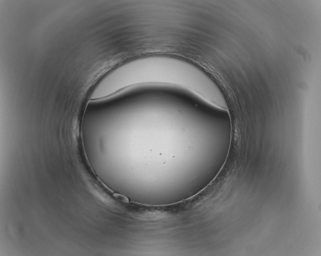 X0000114020397200910161801