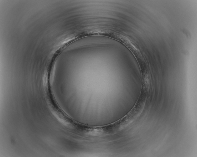 X0000114020398200910161801