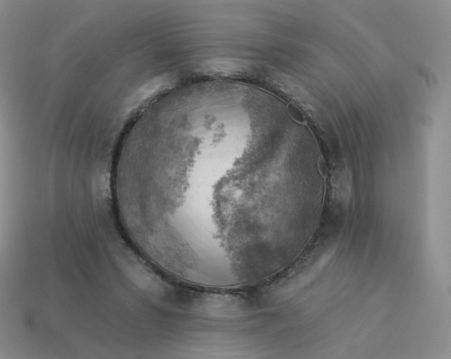 X0000114020399200910161801