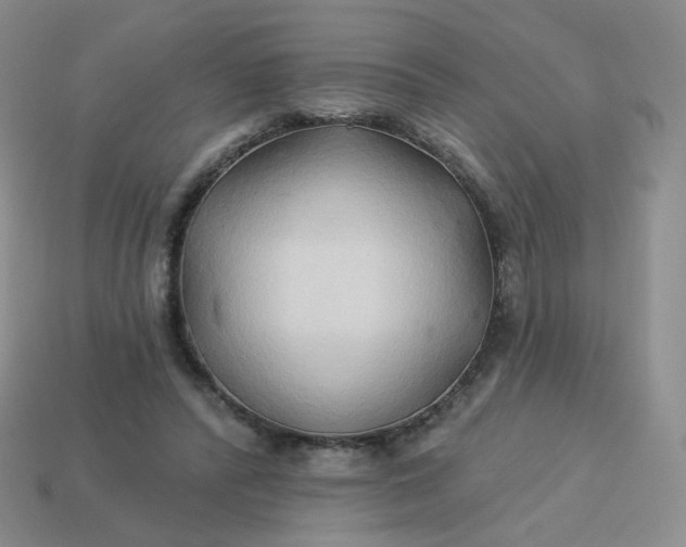 X0000114020400200910161801