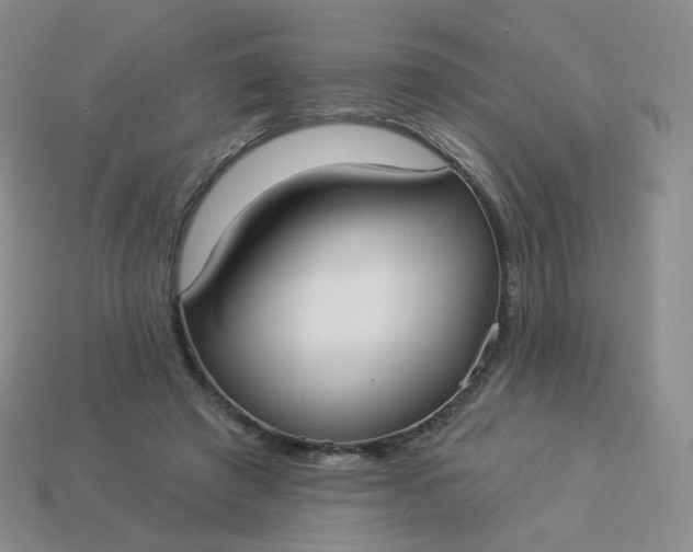 X0000114020401200910161801