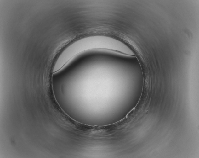 X0000114020403200910161801