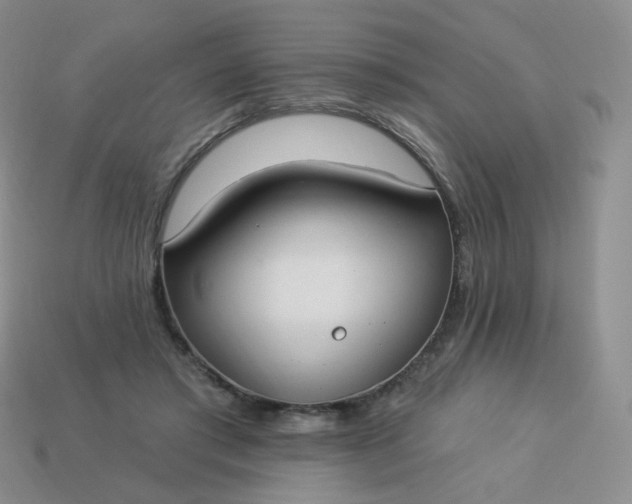 X0000114020405200910161801