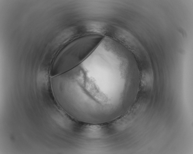 X0000114020409200910161801